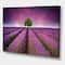 Designart - Stunning Lavender Field Summer Sunset With Tree - Farmhouse Canvas Wall Art Print